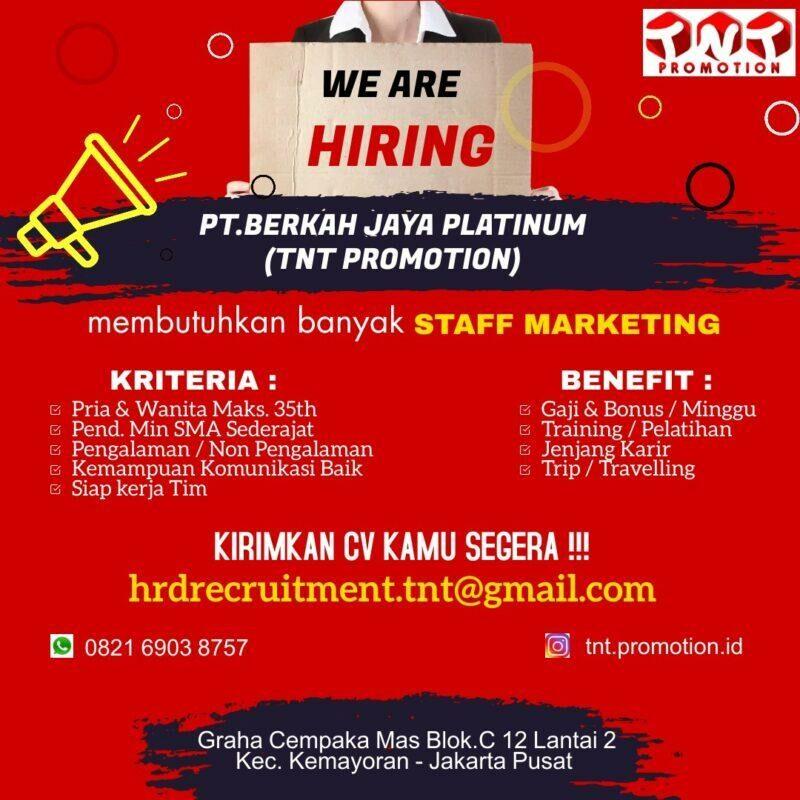 Lowongan Kerja Staff Marketing Di Tnt Promotion Jakartakerja