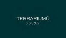 Lowongan Kerja Admin & Content Creator di Terrariumu - Jakarta