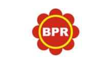 Lowongan Kerja Direktur Bisnis – Komisaris di BPR Saudara Group - Luar Jakarta