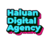 Loker Haluan Digital Agency