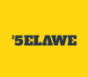 Lowongan Kerja Account Executive – Video Editor – Social Media Staff – Content Planner di Selawe Labs