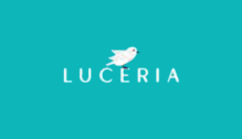 Lowongan Kerja Brand & Marketing Executive di Luceria Gelato - Jakarta